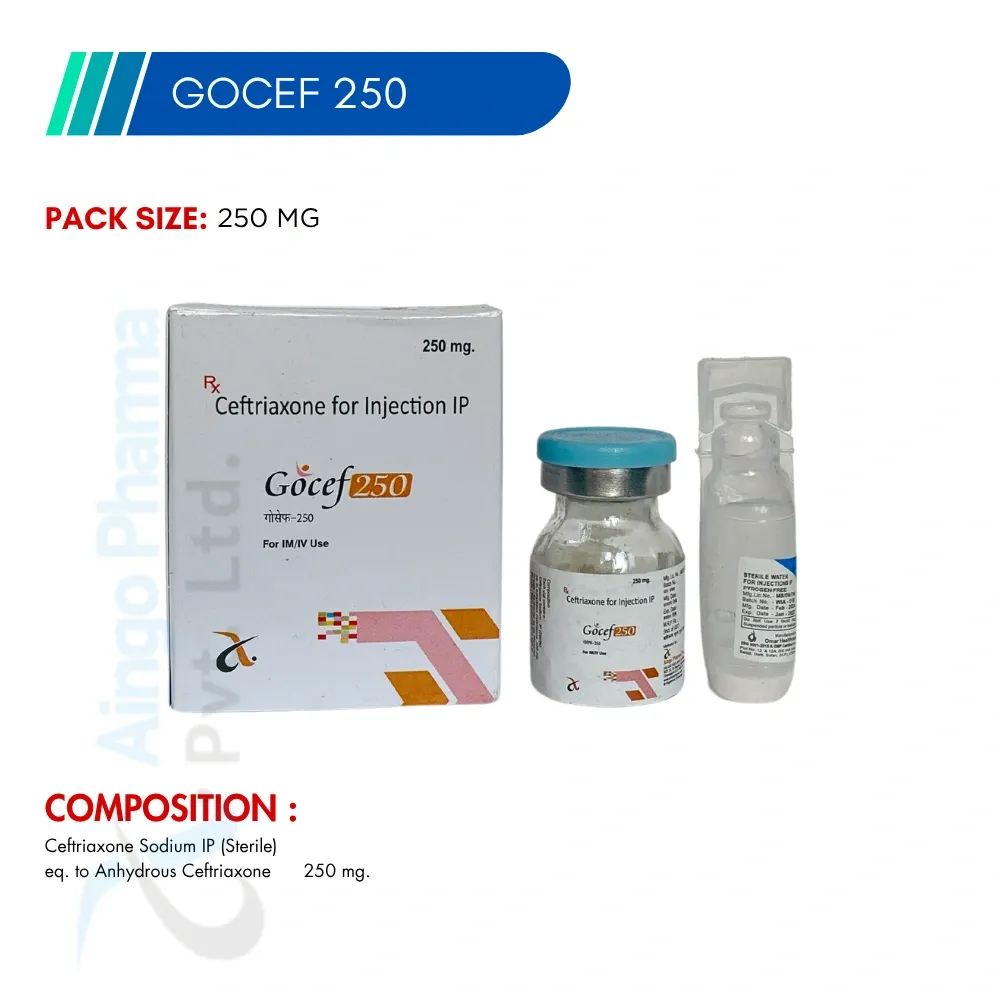 GOCEF-250 – Ceftriaxone 250mg