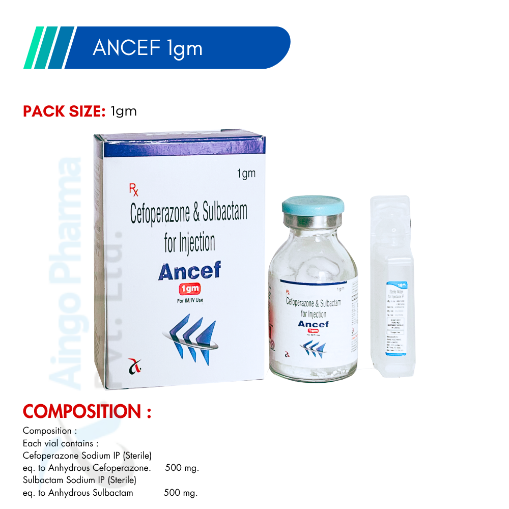 ANCEF 1GM – Cefoperazone 500mg + Sulbactam 500mg