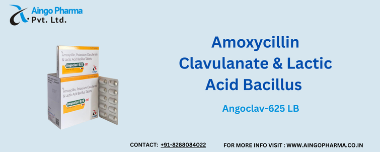 Amoxicillin Clavulanate Lactic Acid Bacillus