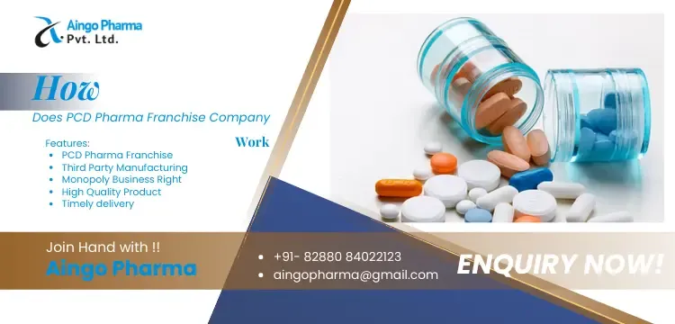 How Does PCD Pharma Franchise Company Work
